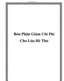 Bón Phân Giảm Chi Phí Cho Lúa Hè Thu