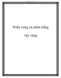 Triển vọng cá chim trắng vây vàng