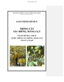 Giáo trình Trồng cây sầu riêng, măng cụt - MĐ03: Trồng sầu riêng, măng cụt