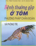 Phương pháp chẩn đoán và phòng trị bệnh thường gặp ở tôm: Phần 1