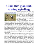 Giảm thời gian sinh trưởng ngô đông