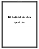 Kỹ thuật sinh sản nhân tạo cá tầm