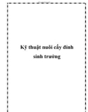 Kỹ thuật nuôi cấy đỉnh sinh trưởng