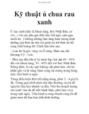 Kỹ thuật ủ chua rau xanh