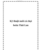 Kỹ thuật nuôi cá chọi betta Thái Lan