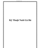 Kỹ Thuật Nuôi Gà Đá