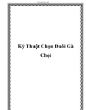 Kỹ Thuật Chọn Đuôi Gà Chọi