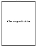 Cẩm nang nuôi cá tàu