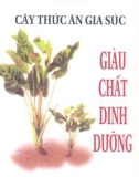 Cây thức ăn gia súc giàu chất dinh dưỡng part 1