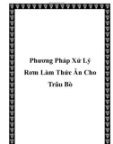 Phương Pháp Xử Lý Rơm Làm Thức Ăn Cho Trâu Bò