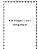 Côn trùng hại Ca cao, cách phòng trị