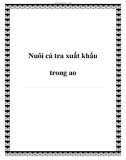 Nuôi cá tra xuất khẩu trong ao