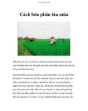 Cách bón phân lúa mùa