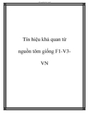 Tín hiệu khả quan từ nguồn tôm giống F1-V3VN