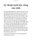 kỹ thuật nuôi lợn rừng sau sinh