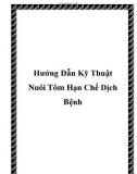 Hướng Dẫn Nuôi Tôm Hạn Chế Dịch Bệnh