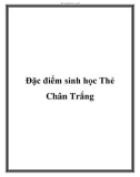 Đặc điểm sinh học Thẻ Chân Trắng