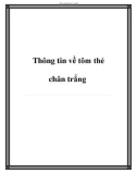 Thông tin về tôm thẻ chân trắng