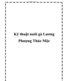 Kỹ thuật nuôi gà Lương Phượng Thảo Mộc