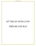 Kỹ thuật nuôi lươn trên bể lót bạt