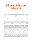 Kỹ thuật trồng rau nghịch vụ