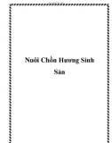 Nuôi Chồn Hương Sinh Sản