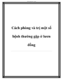 Cách phòng và trị một số bệnh thường gặp ở lươn đồng