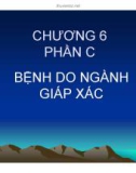 Bài giảng Bệnh học thủy sản: Chương 6 - Hồ Phương Ngân (Phần C)