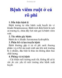 Bệnh viêm ruột ở cá rô phi