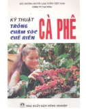 Hướng dẫn trồng, chăm sóc, chế biến cà phê: Phần 1