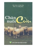 Kỹ thuật Chăn nuôi cừu