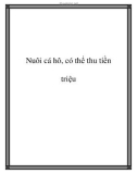 Nuôi cá hô, có thể thu tiền triệu