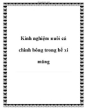 Kinh nghiệm nuôi cá chình bông trong bể xi măng