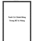 Nuôi Cá Chình Bông Trong Bể Xi Măng