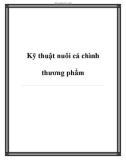 Các kỹ thuật nuôi cá chình thương phẩm