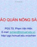 Bài giảng Bảo quản nông sản - PGS.TS. Phạm Văn Hiền