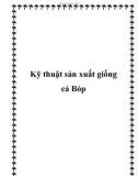 Kỹ thuật sản xuất giống cá Bóp