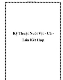 Kỹ Thuật Nuôi Vịt - Cá Lúa Kết Hợp