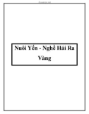 Nuôi Yến - Nghề Hái Ra Vàng