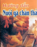 Kỹ thuật nuôi gà chăn thả