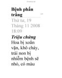 Bệnh phấn trắng.