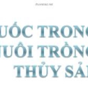 Bài giảng Thuốc trong nuôi trồng thủy sản