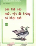 Cẩm nang hướng dẫn nuôi vịt đẻ trứng có hiệu quả