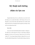 Kỹ thuật nuôi dưỡng chăm sóc lợn con