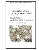 Giáo trình Lựa chọn ngao giống - MĐ03: Ương giống và nuôi ngao