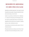 BỆNH ĐỐM NÂU (BỆNH HOẠI TỬ) TRÊN TÔM CÀNG XANH