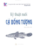 Hướng dẫn nuôi cá bống tượng: Phần 1