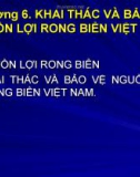 Bài giảng Khai thác và bảo vệ nguồn lợi rong biển Việt Nam