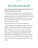 Kỹ thuật nuôi trùn đất