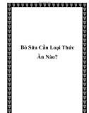 Bò Sữa Cần Loại Thức Ăn Nào?